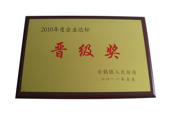 2010年企业达标晋级奖