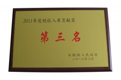 2011年税收入库贡献奖第三名