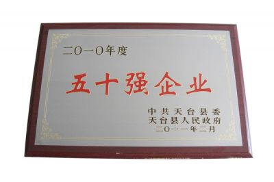 2010年五十强企业