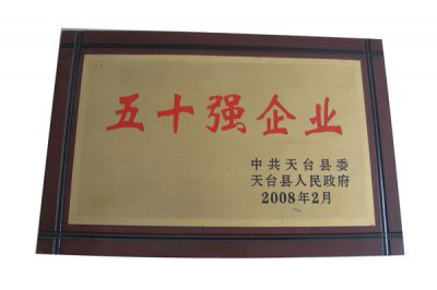 2008年五十强企业